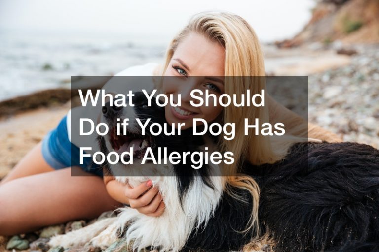 What You Should Do If Your Dog Has Food Allergies - Daily Objectivist